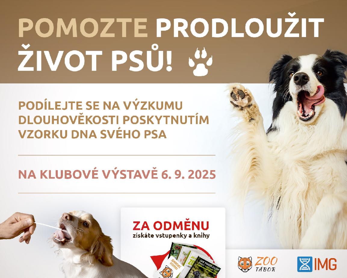 Výzkum